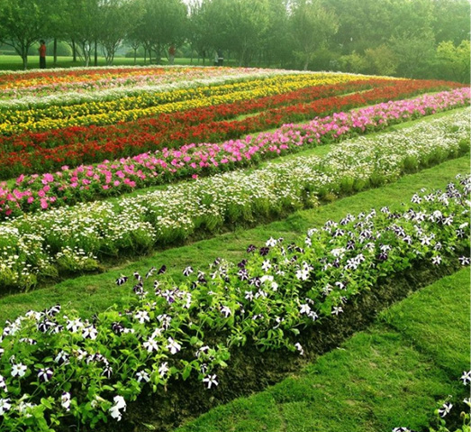 菲律宾欧博(ABG)官方网站