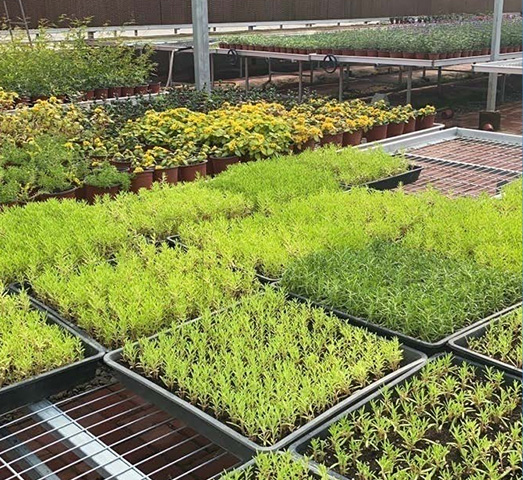 菲律宾欧博(ABG)官方网站