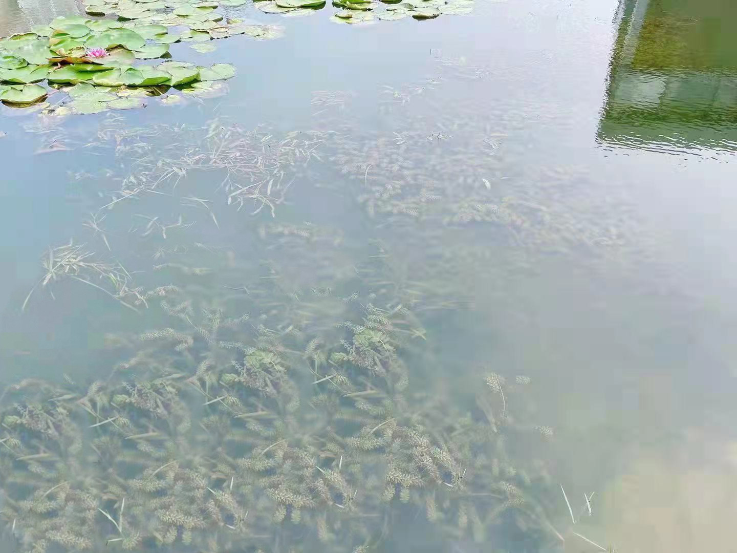 菲律宾欧博(ABG)官方网站