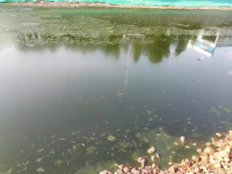 菲律宾欧博(ABG)官方网站