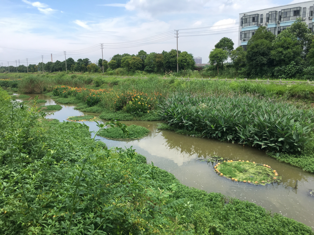 菲律宾欧博(ABG)官方网站
