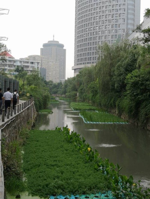 菲律宾欧博(ABG)官方网站