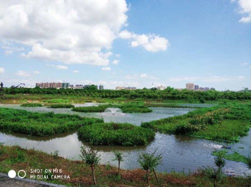 菲律宾欧博(ABG)官方网站