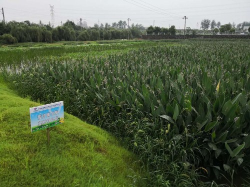 菲律宾欧博(ABG)官方网站