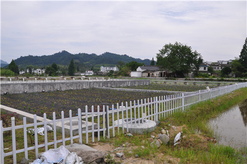 菲律宾欧博(ABG)官方网站