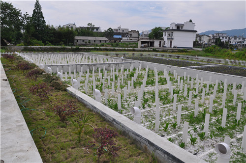菲律宾欧博(ABG)官方网站