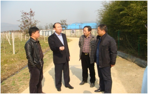 菲律宾欧博(ABG)官方网站