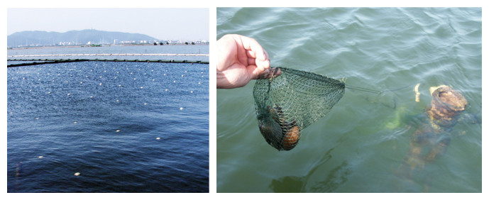 菲律宾欧博(ABG)官方网站