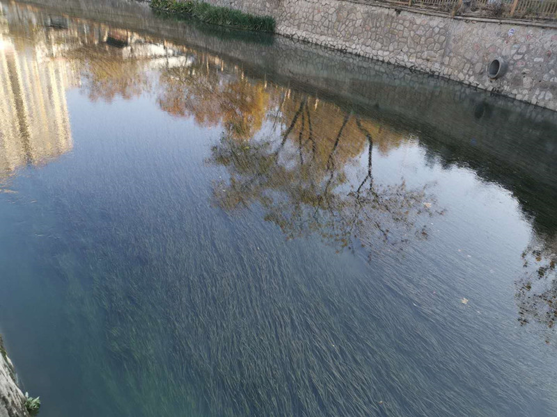 菲律宾欧博(ABG)官方网站