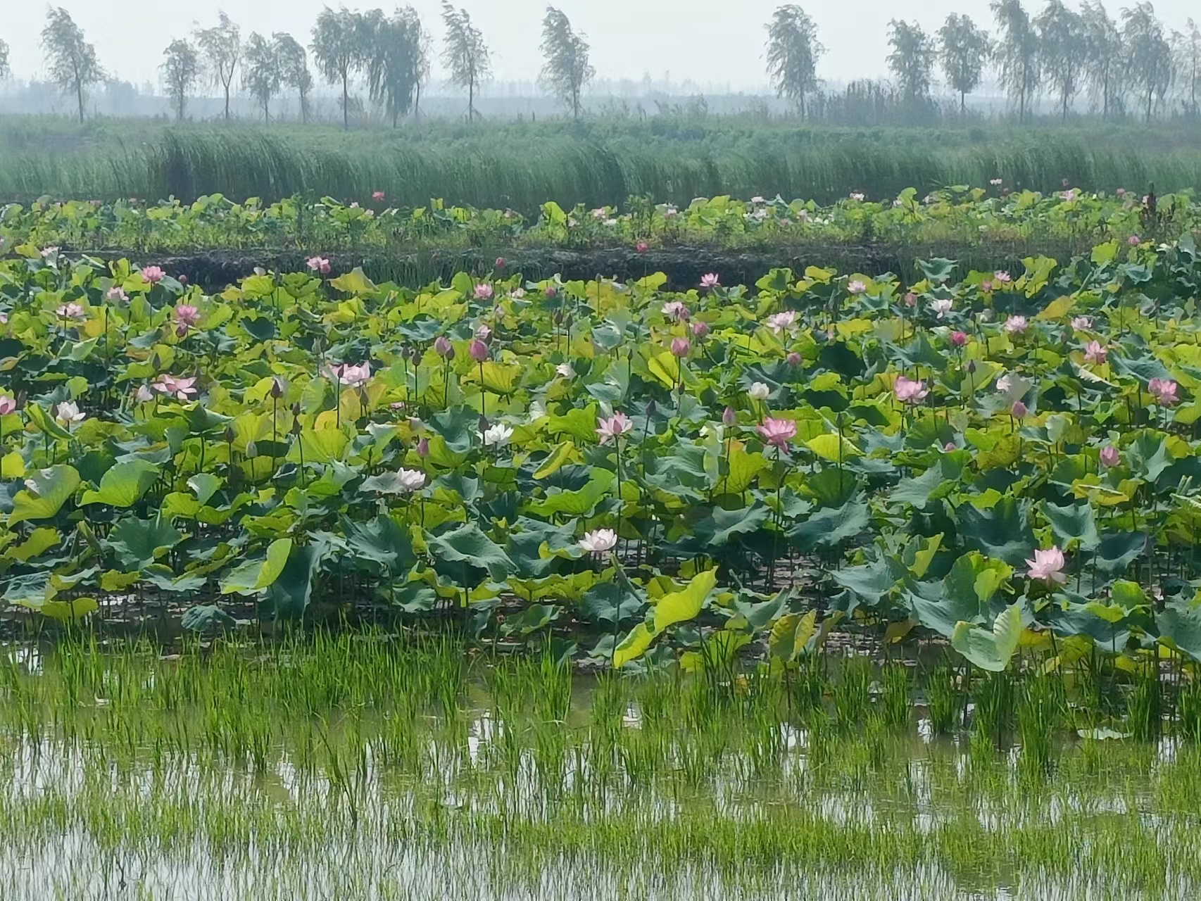 菲律宾欧博(ABG)官方网站