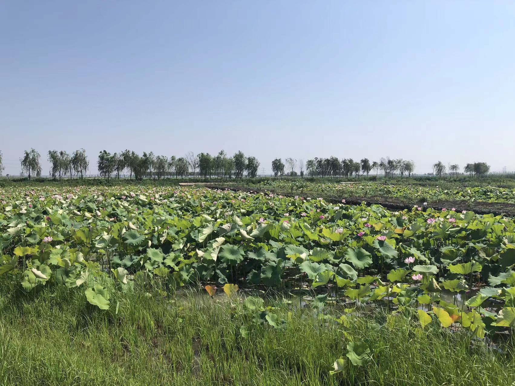 菲律宾欧博(ABG)官方网站