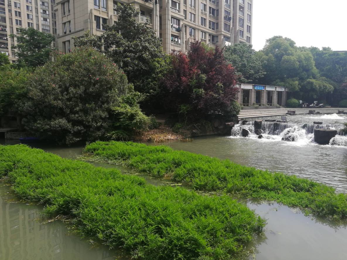 菲律宾欧博(ABG)官方网站