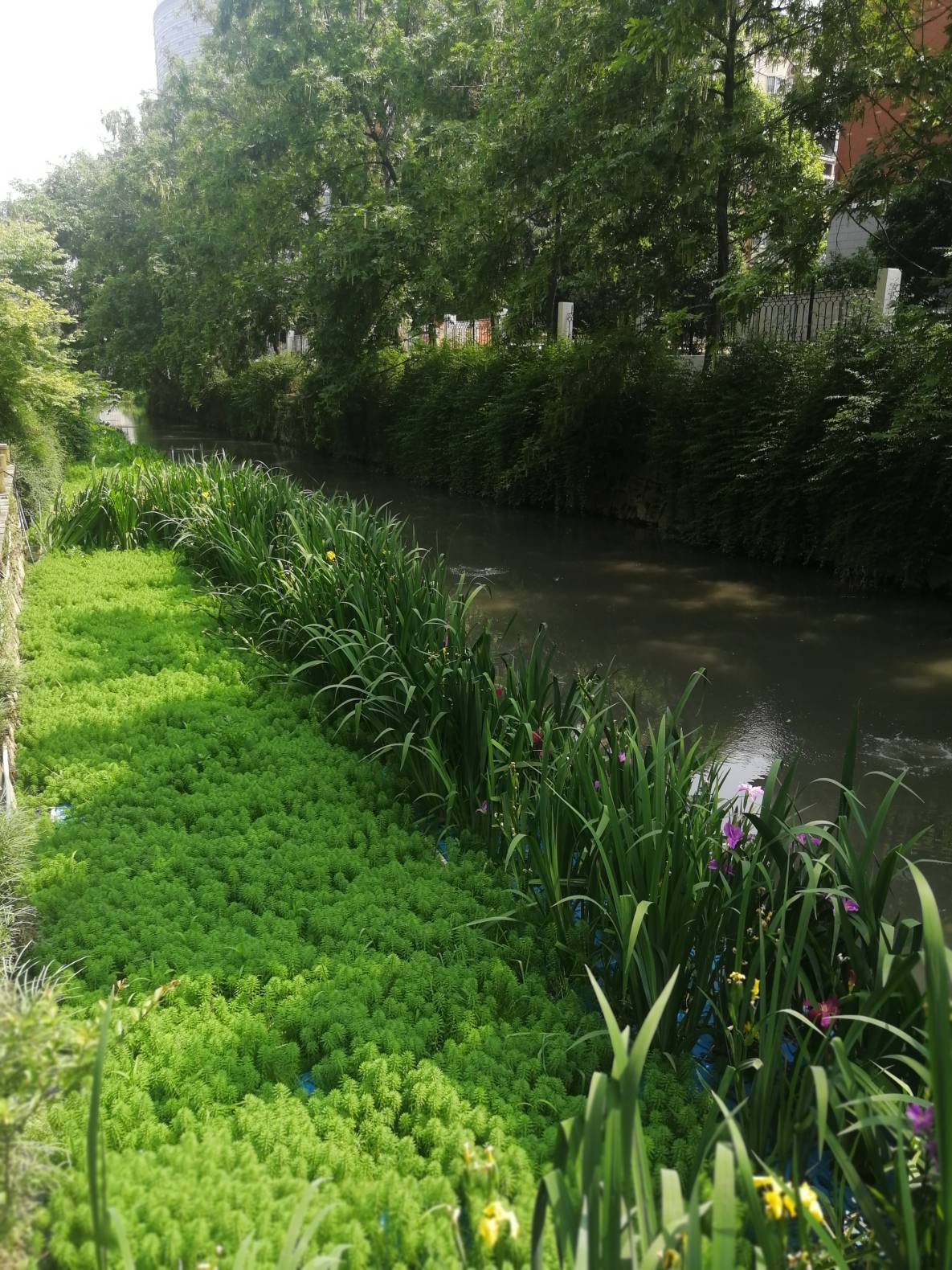 菲律宾欧博(ABG)官方网站