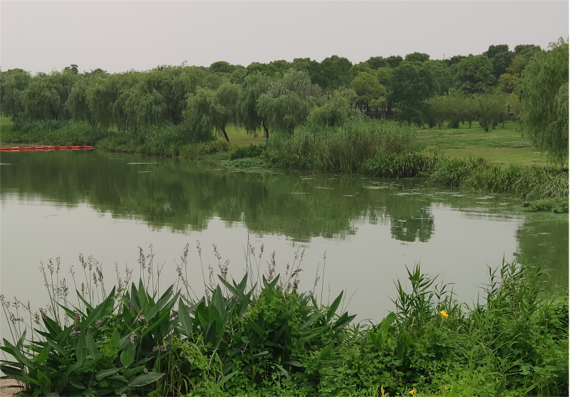菲律宾欧博(ABG)官方网站
