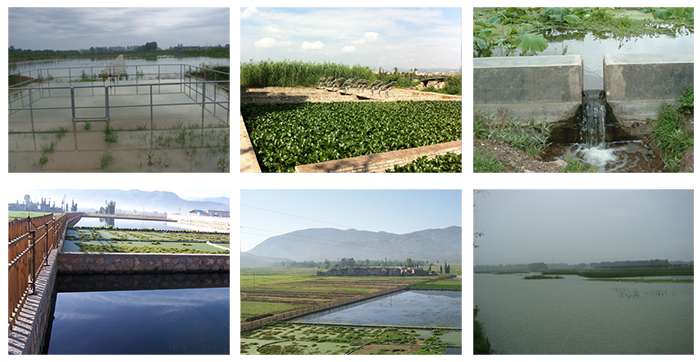 菲律宾欧博(ABG)官方网站