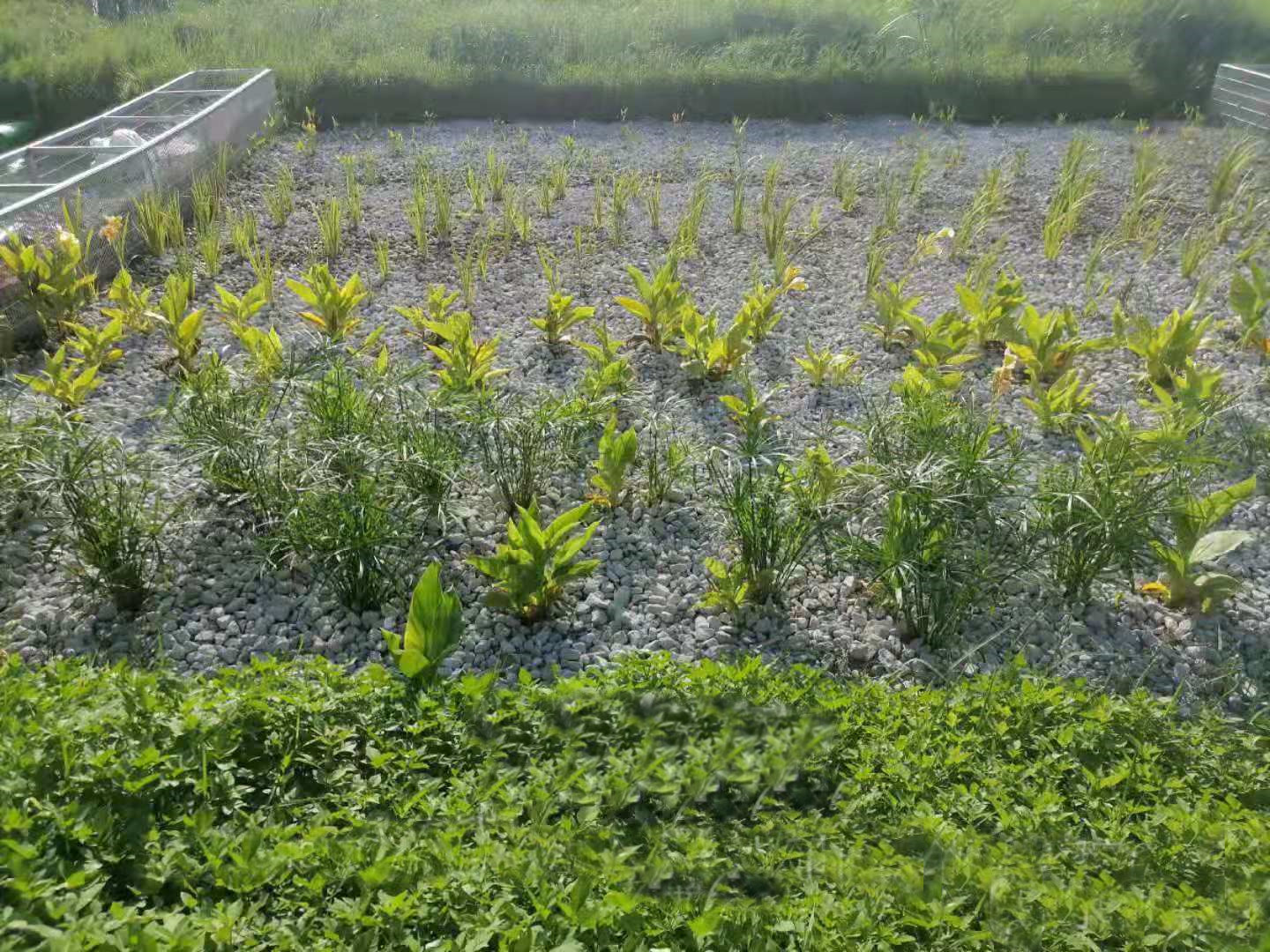 菲律宾欧博(ABG)官方网站