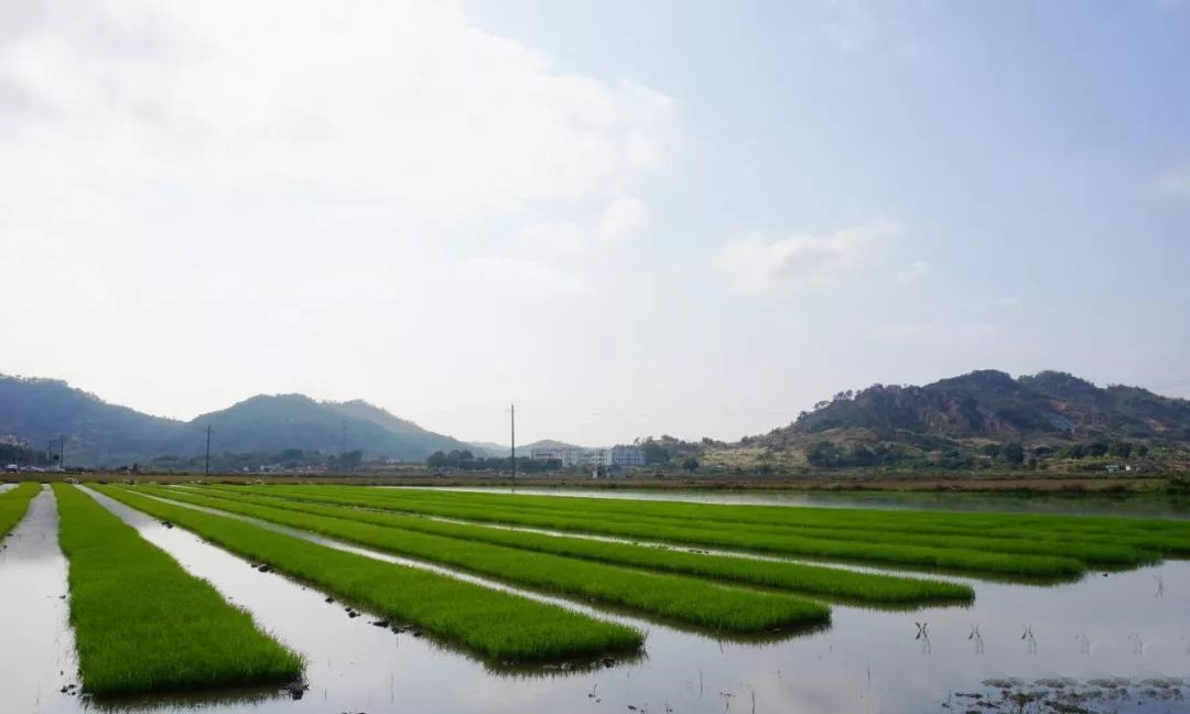 菲律宾欧博(ABG)官方网站