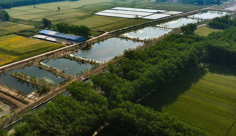 菲律宾欧博(ABG)官方网站