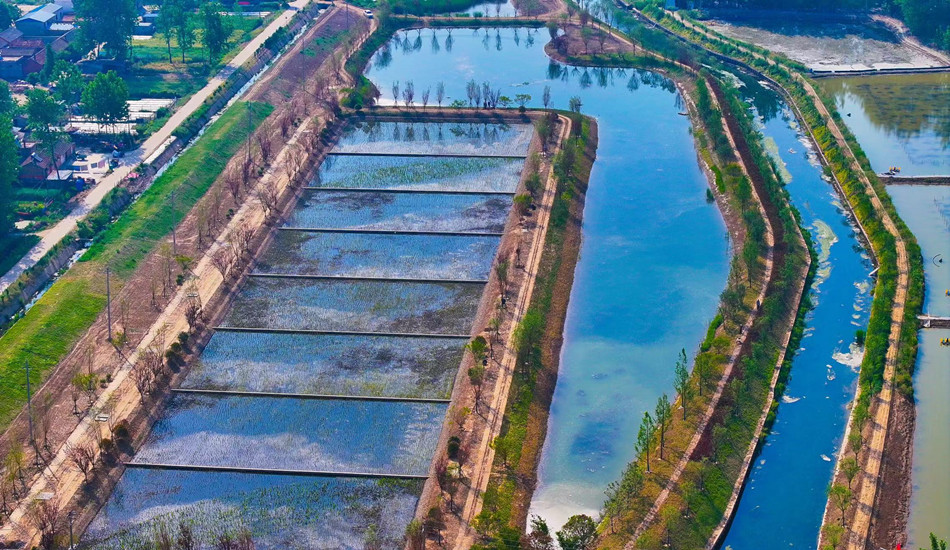 菲律宾欧博(ABG)官方网站