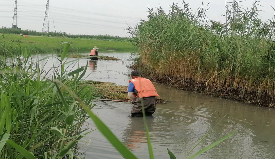 菲律宾欧博(ABG)官方网站