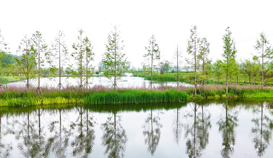 菲律宾欧博(ABG)官方网站