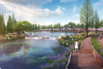 水生态修复项目、湿地运营及维护