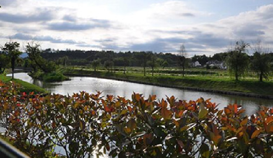 黄山南安河流域情形综合整治工程