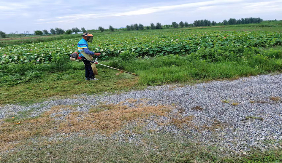 肥东县十八联圩湿地修复二期工程2标段养护