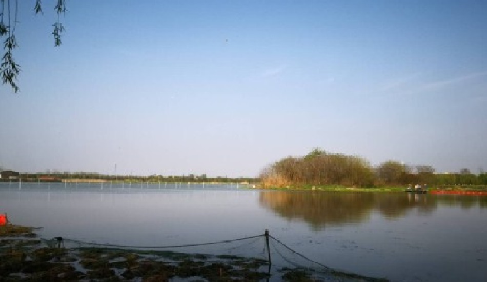 无锡宛山荡入荡河口康健生态系统集成手艺树模工程