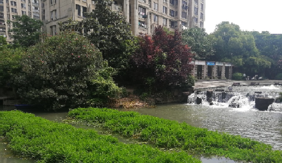 芜湖保兴垾文化路支沟黑臭水体整治工程