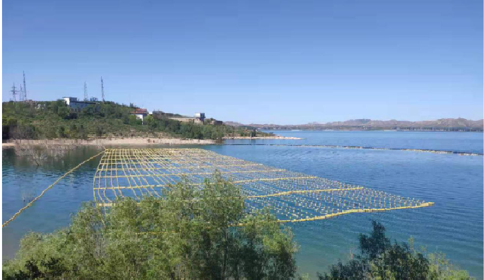 河北西大洋“白洋淀水生生物资源情形视察及渔业生态修复树模工程——上游库区渔业生态操控树模工程”