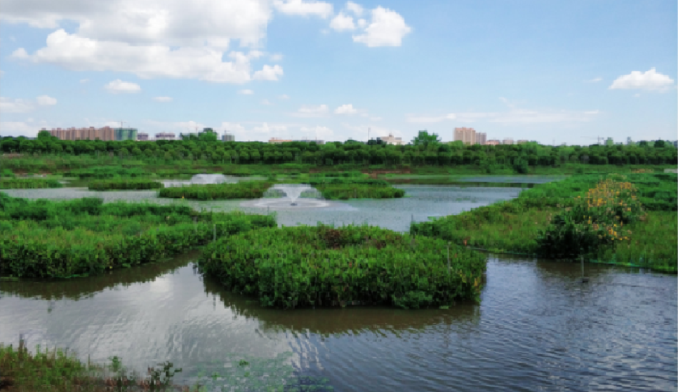 南昌经开区桑海工业园水生态修复与水质提升工程
