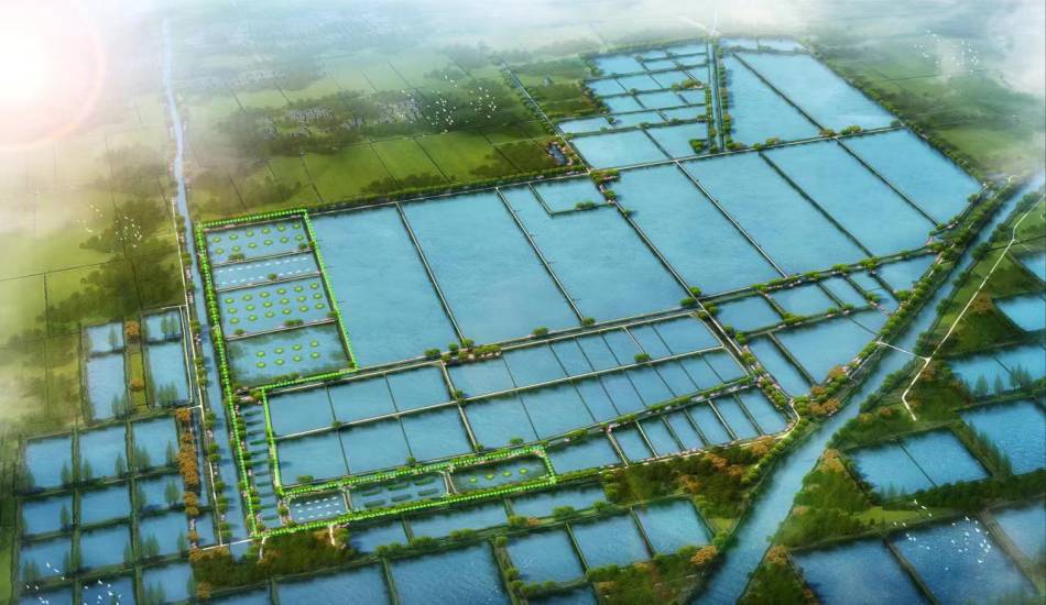 淮安市墟落振兴先导区渔业工业生长妄想