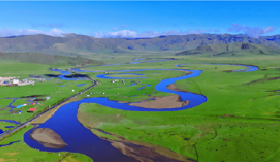 我国生态；；；ば薷慈〉美沸猿杉