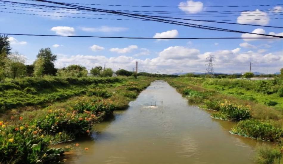 南昌桑海工业园水生态修复与水质提升工程项目