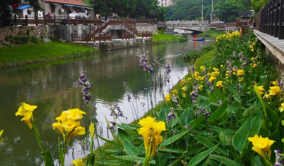 我司加入的南京鼓楼区金川河水质提升工程获得一致好评