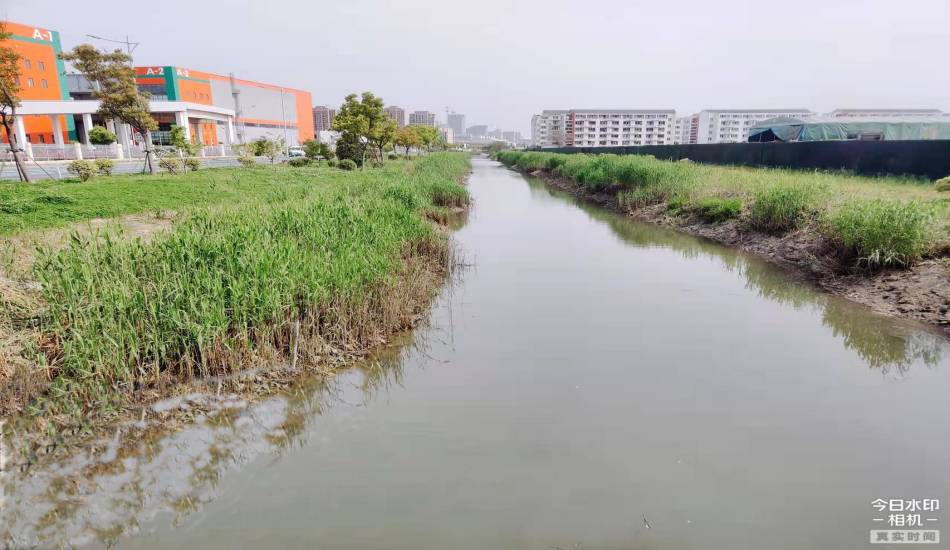 我司认真的西湾泾河河床生态系统恢复及养护手艺效劳项目开工