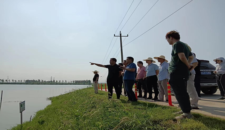 点赞，，，，，，，为烈日下事情的菲律宾欧博人！