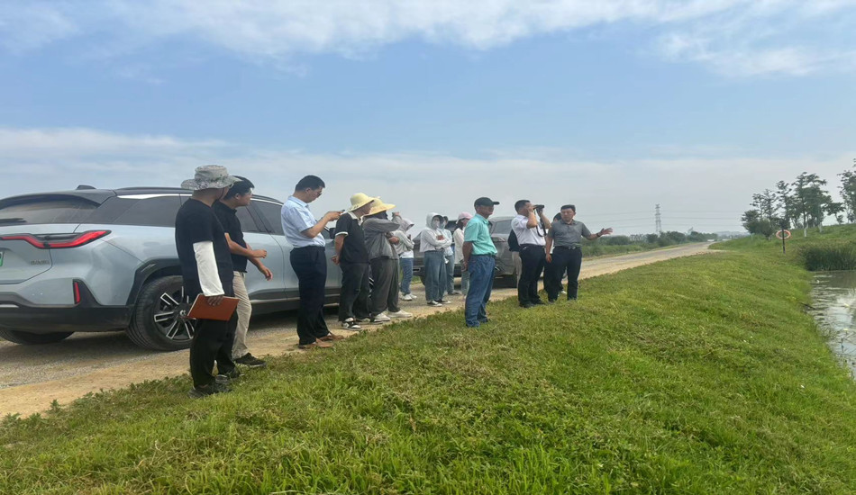 业主单位视察肥东县十八联圩湿地修复工程