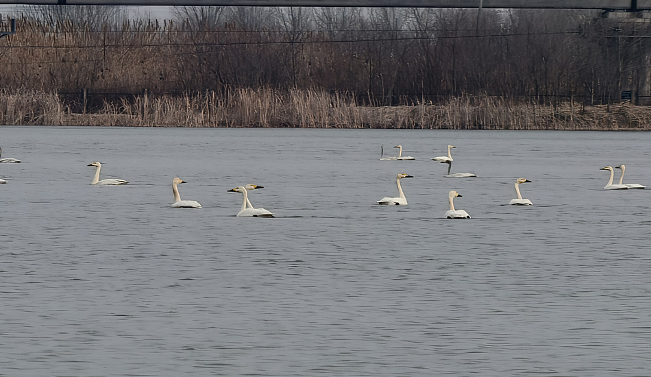 菲律宾欧博(ABG)官方网站